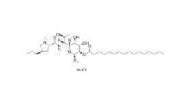Clindamycin palmitate hydrochloride(Cleocin Pediatric)