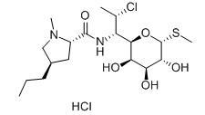 Clindamycin hydrochloride