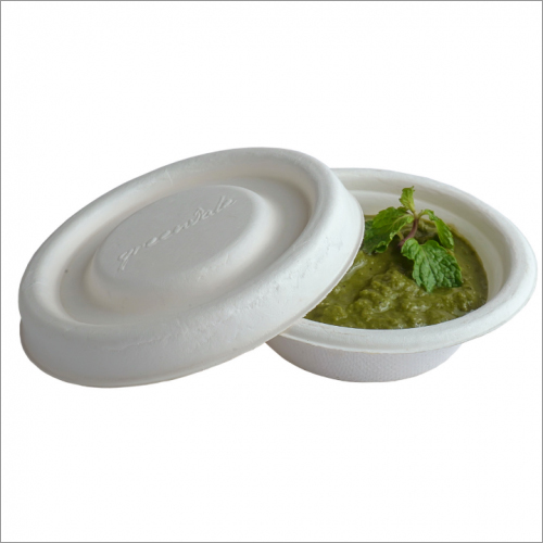 Bagasse Food Container