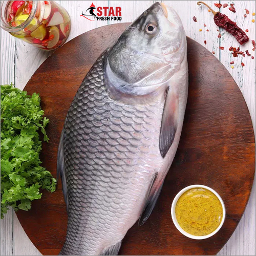 1 kg to 2 kg Catla Whole Fish