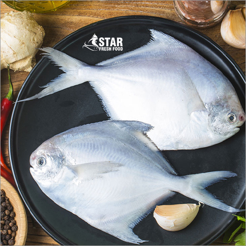 Freshwater Fish