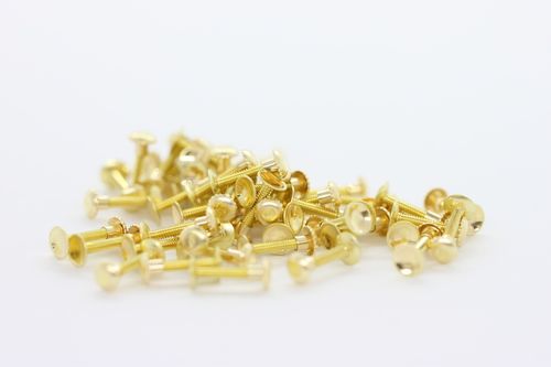 gold screw