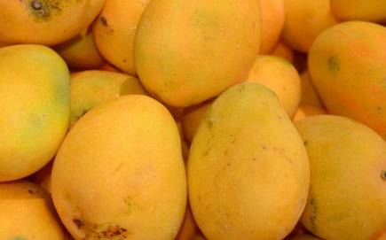Sonarome Natural Liquid Food Color Mango Yellow 17180 N