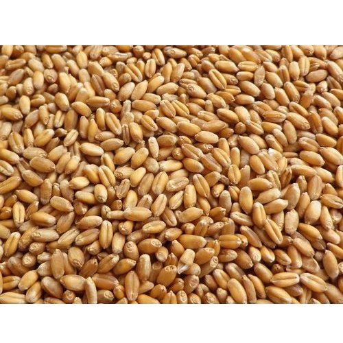 Wheat Grade A