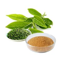 Boswellia Serrata 30 Akba Extract