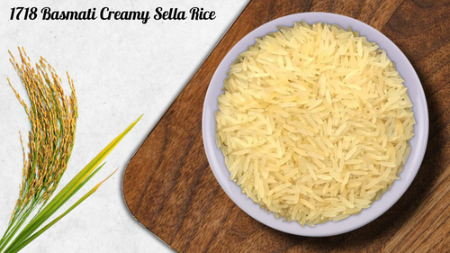 1718 Basmati Creamy Sella Rice Admixture (%): Nill