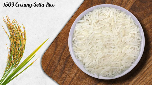 1509 CREAMY SELLA RICE