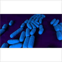 Probiotic Aquaculture-Poultry Health Care Products