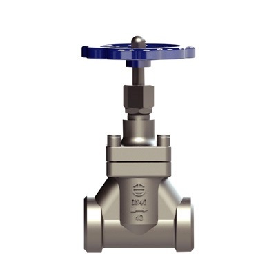 CRYOGENIC GLOBE VALVE DJ GGY
