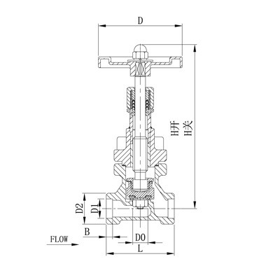 CRYOGENIC GLOBE VALVE DJ GGY