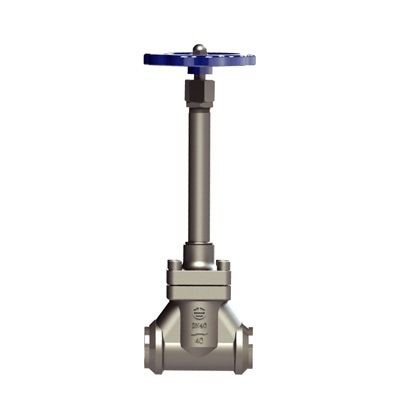 Cryogenic Globe Valve Dj A K