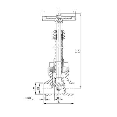 CRYOGENIC GLOBE VALVE DJ A K