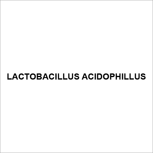 Lactobacillus Acidophillus