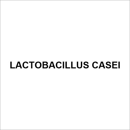 Lactobacillus Casei