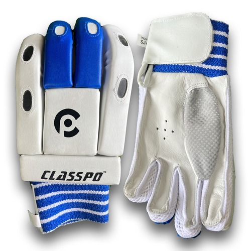 White and Blue Batting Gloves