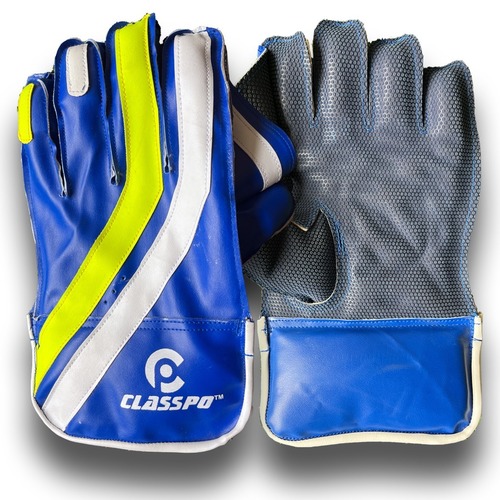 Wicket Keeping Gloves