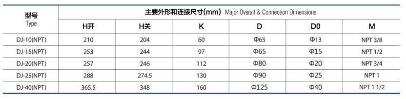 CRYOGENIC GLOBE VALVE DJ 10 15 20 25 40 (NPT)