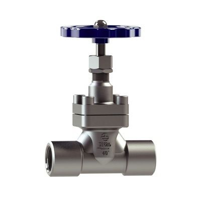 CRYOGENIC GLOBE VALVE DJ NPT