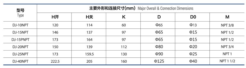 CRYOGENIC GLOBE VALVE DJ NPT