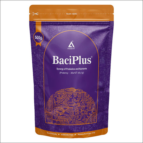 Baciplus Snergy Of Probiotics And Nutrients Size: 500G