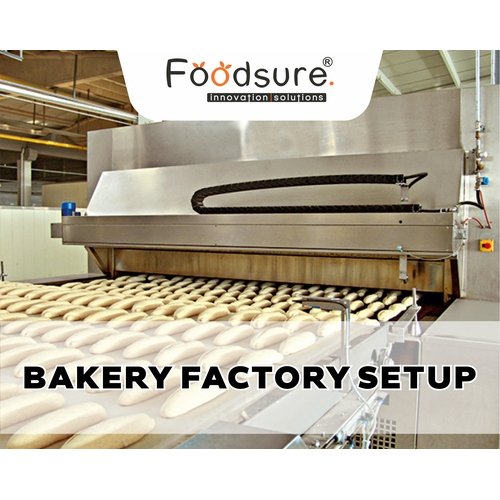 Bakery Setup Consultancy By BINS & SERVICES