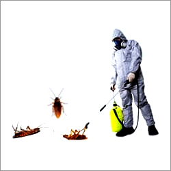 Industrial Cockroch Pest Control Services