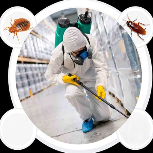 Cockroch Pest Control Services