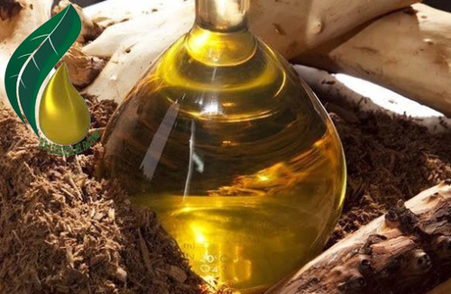 Sandalwood Oil Pure