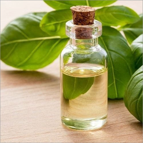 Basil Oil