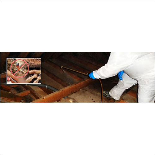 Wood Borer Control Services