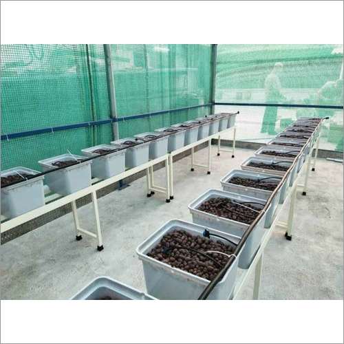 20 Planter Dutch Bucket Hydroponic System