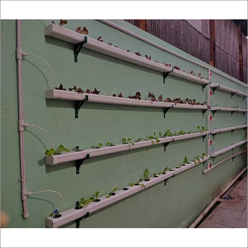 Wall Mounted Hydroponic System