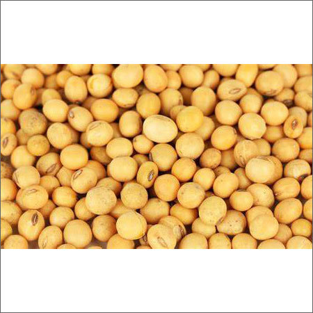 Soybean Seeds