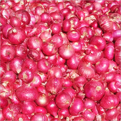 A Grade Maharashtra Fresh Red Onion, Gunny Bag, Onion Size Available: Medium