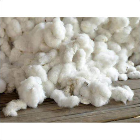 Pure Raw Cotton