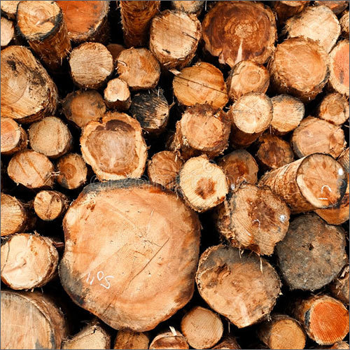Round Swan Timber Logs