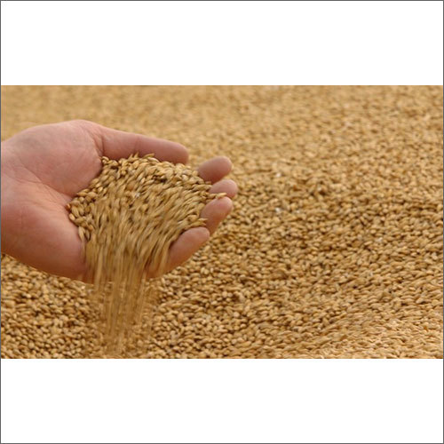 Milling Wheat