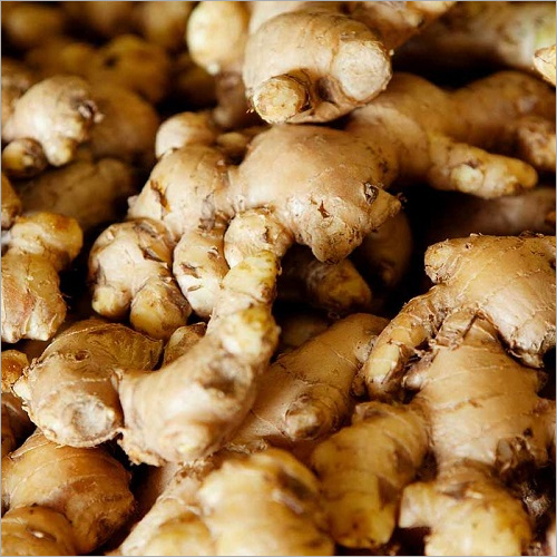 Indian Fresh Ginger Moisture (%): Nil