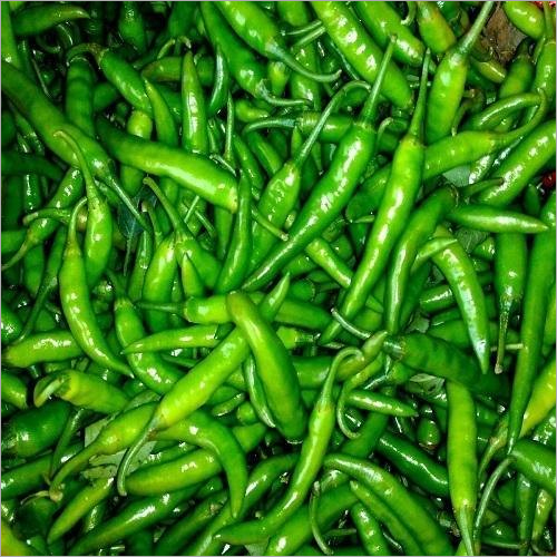 Fresh Green Chilli Moisture (%): Nil