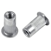 Blind Rivet Nut - Stainless Steel & Mild Steel, Galvanized Finish, Round Shape, Custom Sizes | Easy-to-install, Reliable Fasteners For Strong Load-bearing Threads