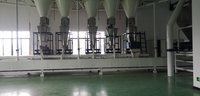 Detergent Powder Manufacturing Plant