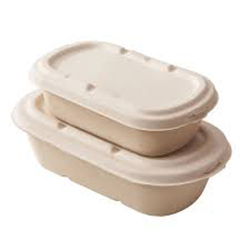 Bagasse food containers By PURE PACKS