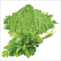 Green Natural Dried 99% Coriander Leaf Powder
