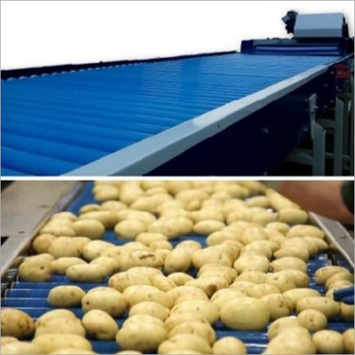 Potato Grading Machine Warranty: 1 Year