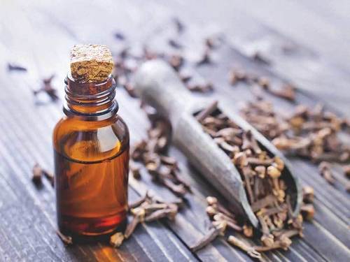 CLOVE OIL