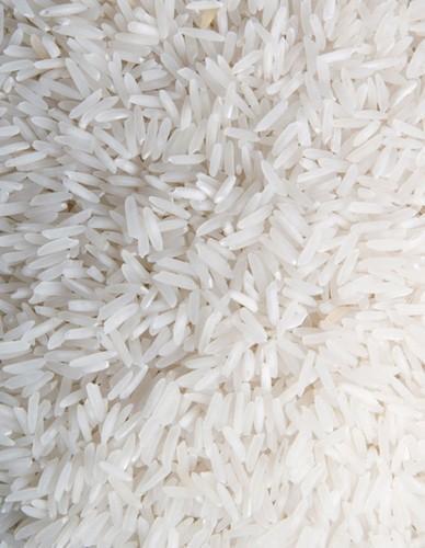 Rice Grain