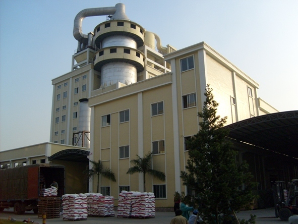 Detergent Powder Manufacturing Plant
