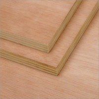 Commercial Plywood