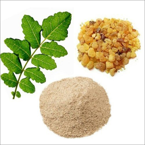 Boswellia serrata extract supplier Boswellia serrata extract supplier