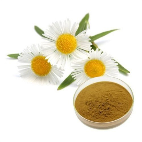 Herbal Product Chamomile Extract